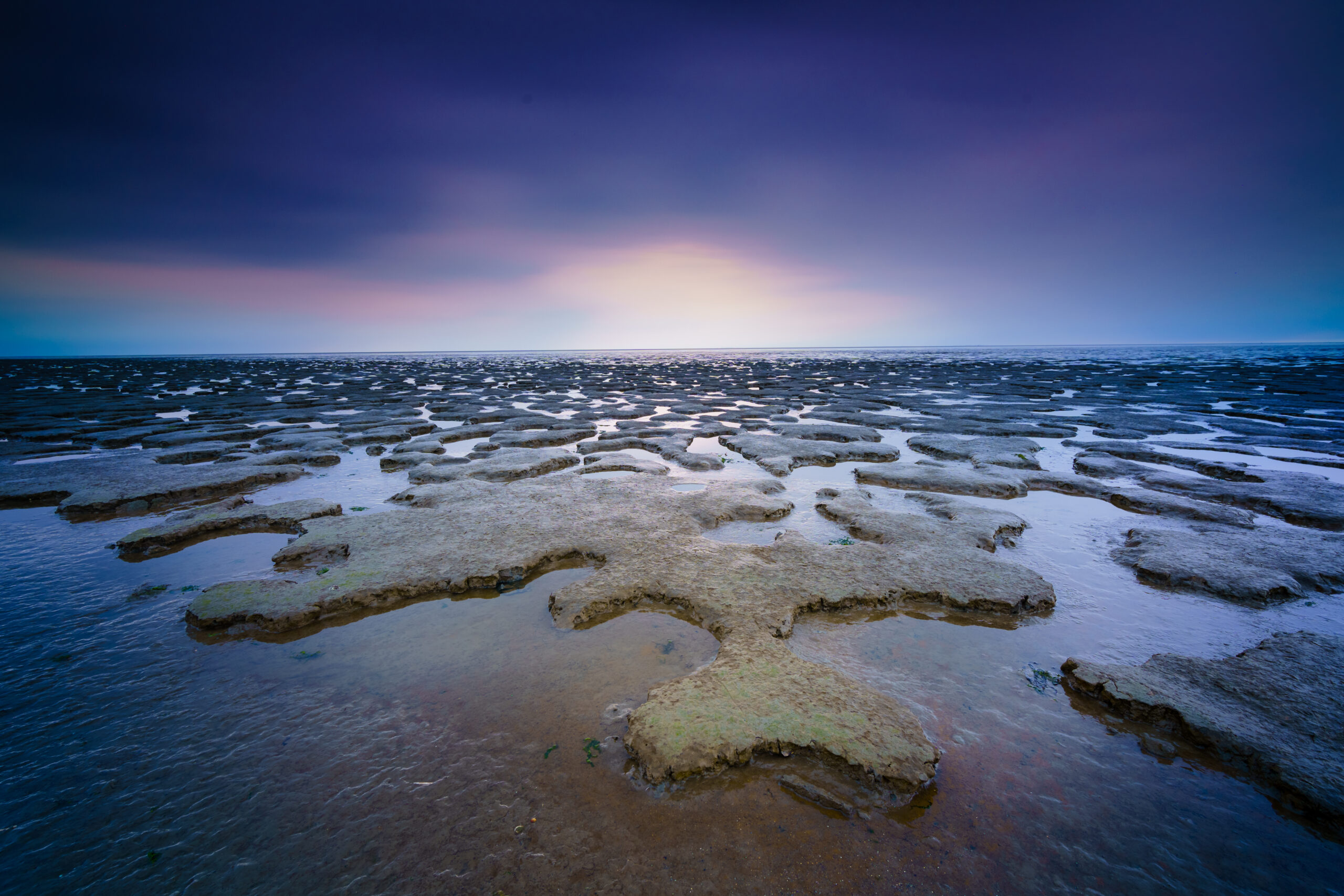 waddenzee bij den helder